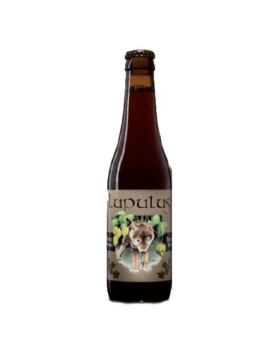 24 Birra Lupulus Brune 0,33 l