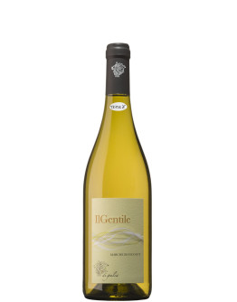 Il Gentile Marche Bianco 
