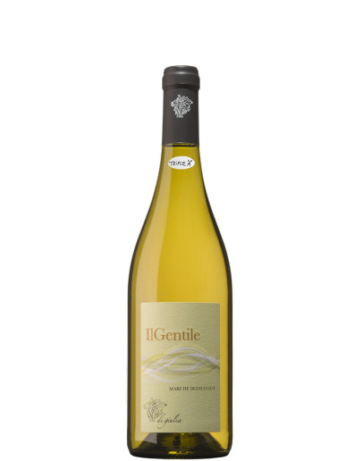 Il Gentile Marche Bianco 
