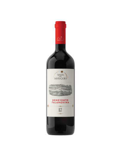 Falanghina IGT Campania 2021