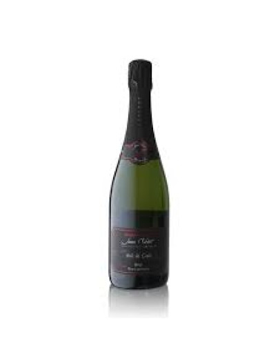 Brut Blanc de Noirs - Noir De Craie