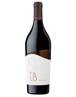 Negroamaro Salento Talo' 2021