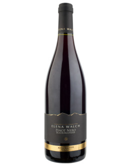 Blauburgunder Alto Adige 2021