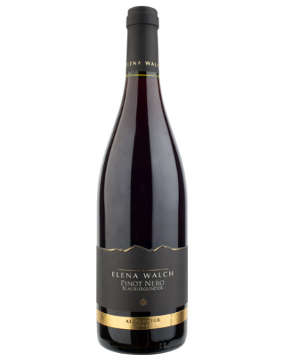 Blauburgunder Alto Adige 2021