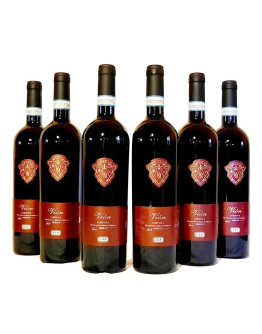 6 Cortona doc - Vion