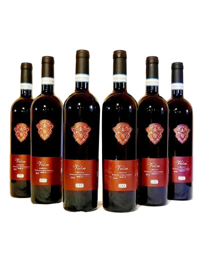 6 Cortona doc - Vion