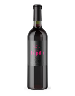 6 Merlot igt - Lapilli
