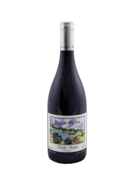 Pinot Noir Vineyard Yamhill-Carlton 2015