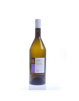 6 Pinot Grigio Collio D.O.C.