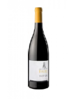 Pinot Nero Alto Adige 2017