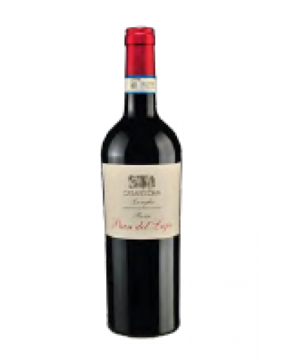 Pian del Lupo - Langhe Rosso doc