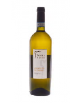 Falanghina del Sannio doc