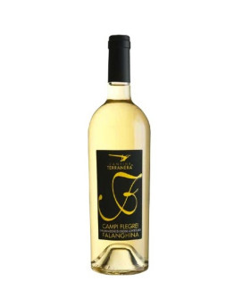 6 Falanghina igt 2016
