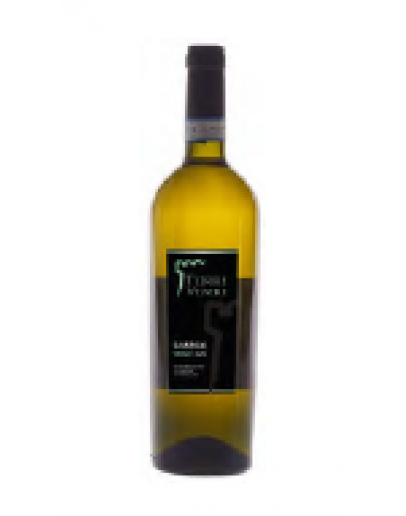 Greco del Sannio doc