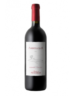 Syrah doc 2013 Ammiraglia Magnum in cassa di legno