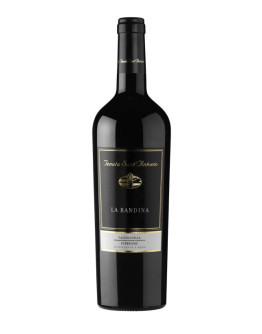 Valpolicella Superiore doc 2004 5 l in cassa di legno - La Bandi