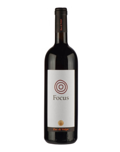 Merlot doc 2004 Focus