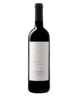 Cortona doc 2015 - In Violas