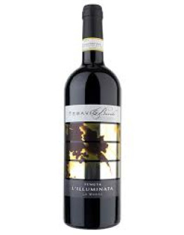 Barolo docg 2010 - Tebavio Magnum