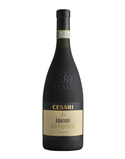 Amarone della Valpolicella docg 2012 3 l in Holzkiste