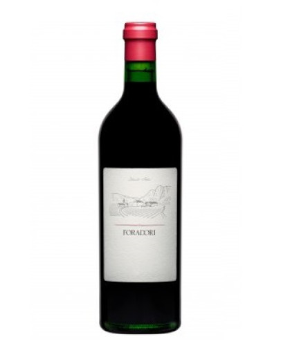 Teroldego igt - Foradori Magnum