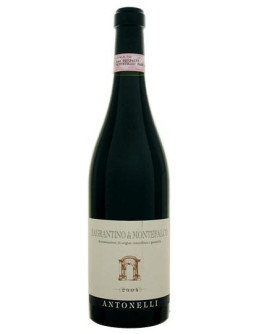 Sagrantino di Montefalco docg 2015 Magnum