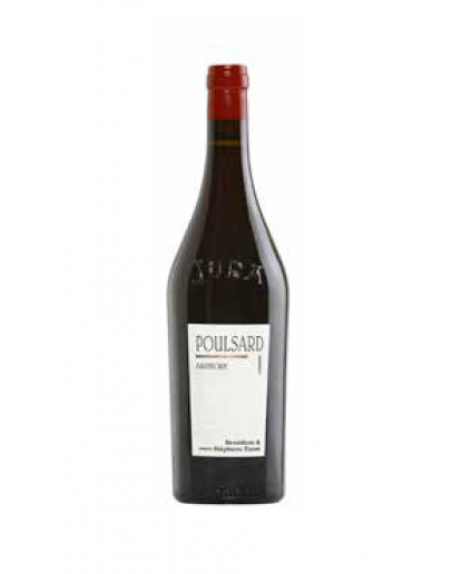 Poulsard Amphore 