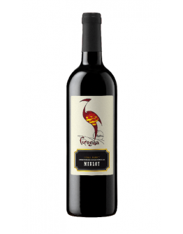 Merlot Colli Berici doc - Cicogna Magnum