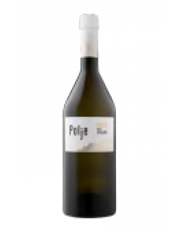 Ribolla Collio doc 2017