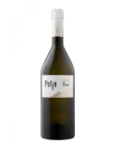 Ribolla Collio doc 2017