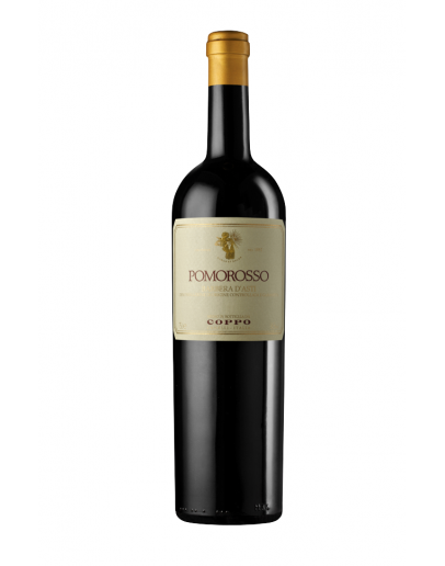 Barbera d'Asti docg 2017 9 l - Pomorosso
