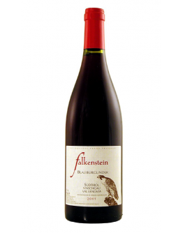 Pinot Nero doc 2022 - Blauburgunder