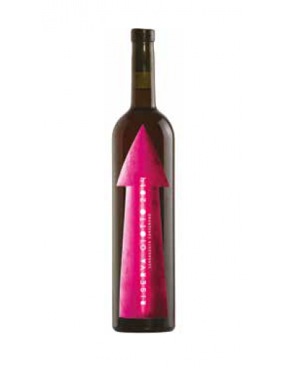 Riserva Giotto Carignano 2014