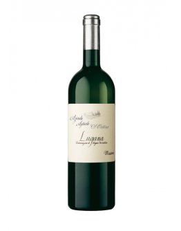 6 Lugana doc - Santa Cristina