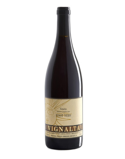 6 Pinot Nero igt