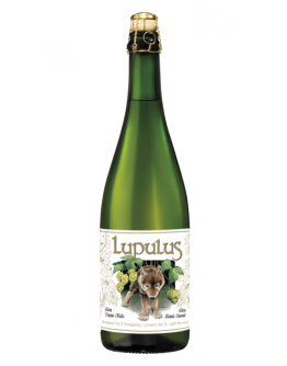 6 Birra Lupulus Blonde
