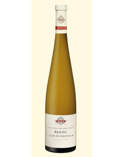 6 Riesling Signature Aoc 2018