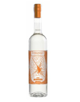 Pisco Tabernero Acholado