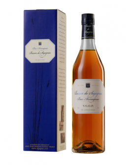 Bas Armagnac Baron de Sigognac VSOP