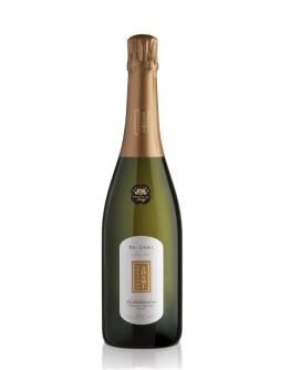 Valdobbiadene Prosecco Superiore docg Extra Dry - Dei Casel
