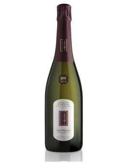 Valdobbiadene Prosecco Superiore docg Dry - Vigneto Giardino