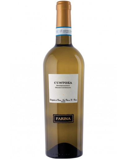 6 Bianco di Custoza doc 2019