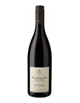 6 Pinot Noir Les Ursulines Bourgogne Aoc 2018