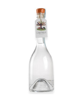 Distillato Capovilla di Sorbo Dell’uccellatore