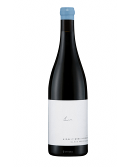 BF Blaufränkisch 2017