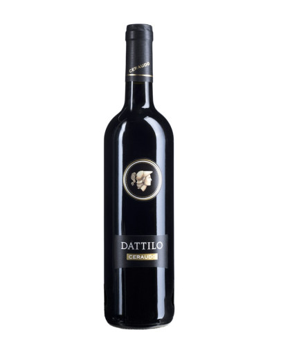 Dattilo igt 2023 Magnum