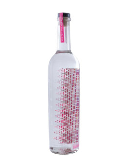 Mezcal Derrumbes Tamaulipas