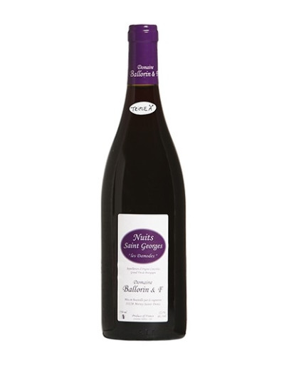 Nuits Saint Georges Les Damodes 