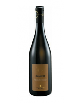 Dominè Verdicchio DOC