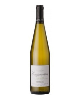 Eruzione 1614 Carricante doc